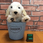 ふわふわ縫いぐるみ(ゴールデンレトリーバー)