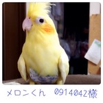 0914042 様ご注文分