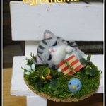 ＊芝生の上のお昼寝ねこちゃん＊