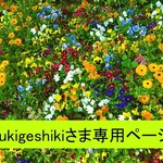yukigeshikiさま専用ページ