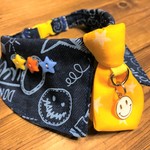 犬・猫の首輪　28～30　cocochanチョーカーNEO　アメリカンポップ・ニコちゃん・スマイル・星