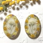 ミモザで彩るフラワーピアス / イヤリング