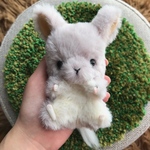 チンチラ ベビー♡