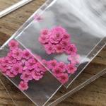 ★在庫処分！押し花【こでまり小花30個】濃いピンク