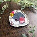  【送料込】みつめる シルバー文鳥のブローチ