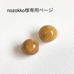 nozokko様専用ページです☆