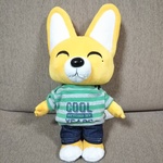 オーダー専用