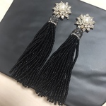 ビーズタッセルビジューピアス イヤリング