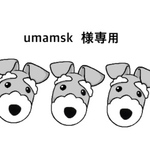 umamsk 様専用