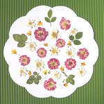 【押し花】ミニバラ・花かんざし・メラスフェルラ
