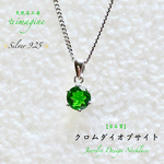 ◆希少石◆クロムダイオプサイト【最高級・宝石質】✨Silver925.ジュエリー天然石ネックレス💫自分へのご褒美に🎀プレゼントにも🎁  