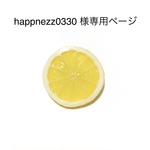 happnezz0330 様専用ページ