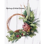 Coming of spring☆ドライフラワー  リース