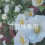 花豆様専用  選んでオーダー ミニスワッグ③