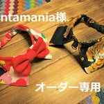 santamania様オーダー専用　cocoちゃんチョーカー2点セット　27ｃｍ・虎・猫・椿