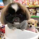 kabogura様専用