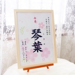 命名書 ピンク桜