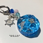 *丸い海（イルカとホヌ）