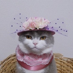 Meu32様 専用 Lady Rose