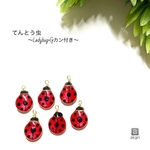 てんとう虫～Ladybug～ Gカン付き