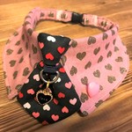 犬・猫の首輪　33～35.5　cocochanネクタイチョーカーNEO　サーモンピンク・ハート・ネクタイ