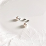 SWAROVSKIパール １粒 チタンピアス