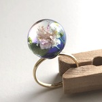 Hester's garden 小さな池 指輪