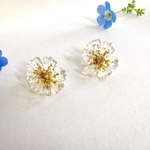 透明マーガレットのピアス・イヤリング＊受注製作