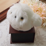 ちいさなぬいぐるみフクロウ