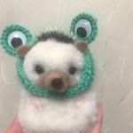  【受注製作】編み顔ハメ     カエルさん