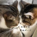 お客さま専用ページ