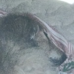 澤木様専用ページコロコロサクランボの豆豆皿2枚セット