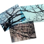 透明写真シールセットＣ