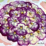 ♡new♡作家様必見♡ ♡赤花処理済み♡ ♡人気のビオラ♡押し花セット