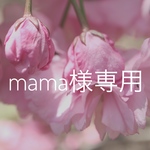 mama様専用 花かごみたいなアジサイリース 