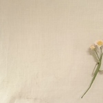 野の花ブローチ～はるじおん～