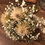 🌿1month記念🌿フィリカとかすみ草のドライフラワーミニブーケ