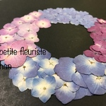 押し花 素材*.・紫陽花4種*.・