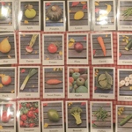 野菜 果物 英語 フラッシュカード