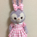 受注販売 ステラルーコスチューム