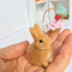 小さなうさぎさん