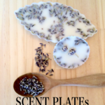 大幅値下げ！＊ソイワックスのSCENT PLATEセット