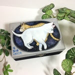 ‼️加筆‼️ 手描き 猫の木箱 小物入れ 原画 手書き 猫 茶トラ 白猫 ネコ ねこ 絵 絵画 イラスト アート 宇宙 神秘的 星空