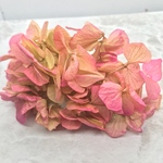 セイヨウアレンジ加工キラキラ❣️ハーバリウム花材プリザーブドフラワー紫陽花