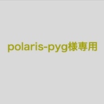 polaris-pyg様専用