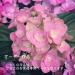 令和元年0502様専用ページ