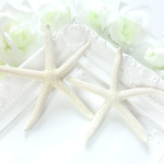 2個セット☆6.5cm～8cm 天然 スターフィッシュ　ヒトデパーツ 