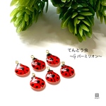 てんとう虫～Ladybug～ Gカン付き