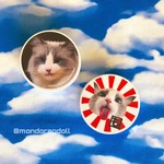 マグネットクリップ２個セット