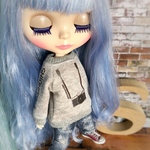 カメラトレーナー（グレー）